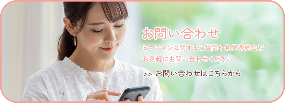 お問い合わせ