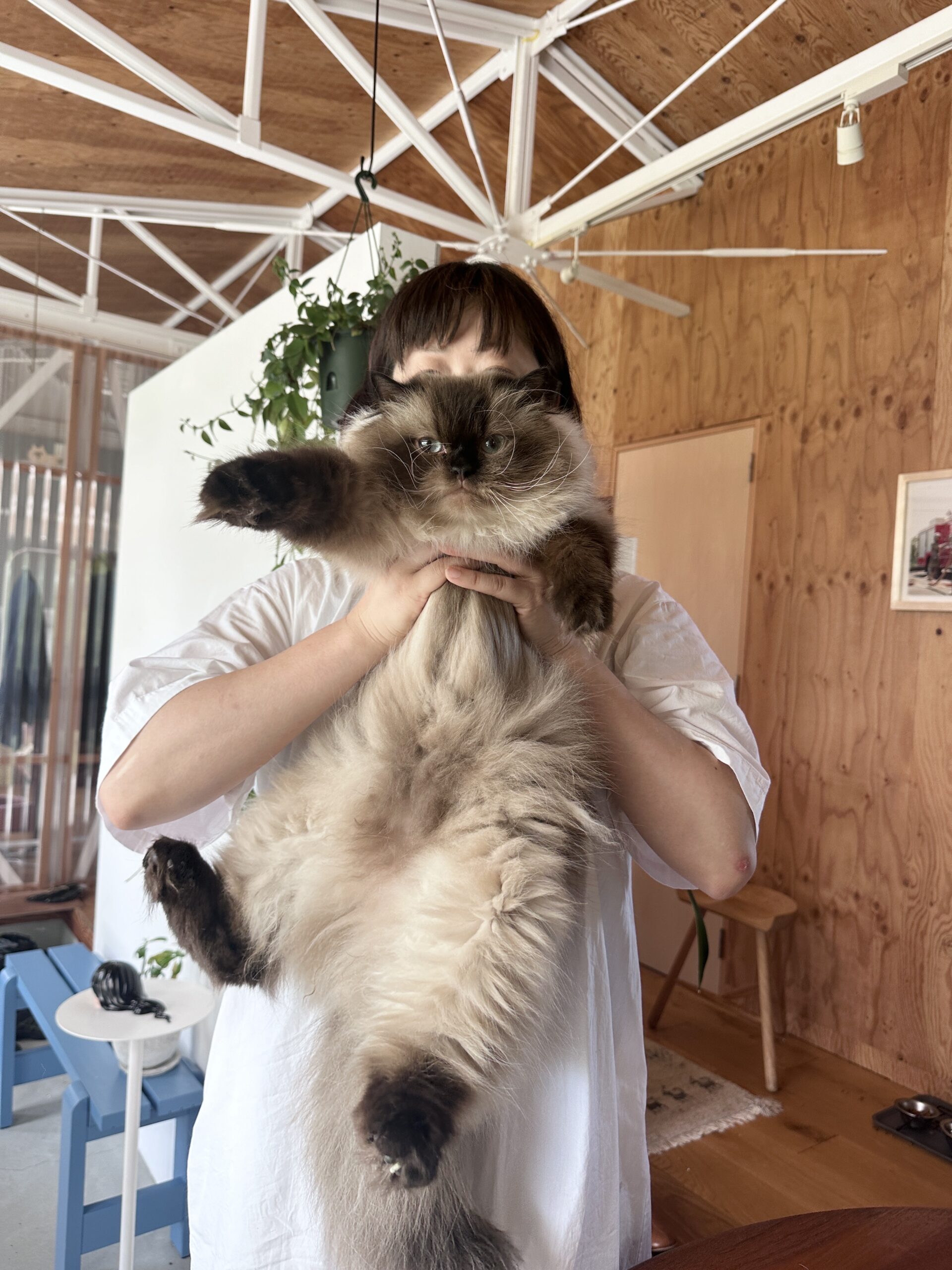 奈良県 T様 ムー