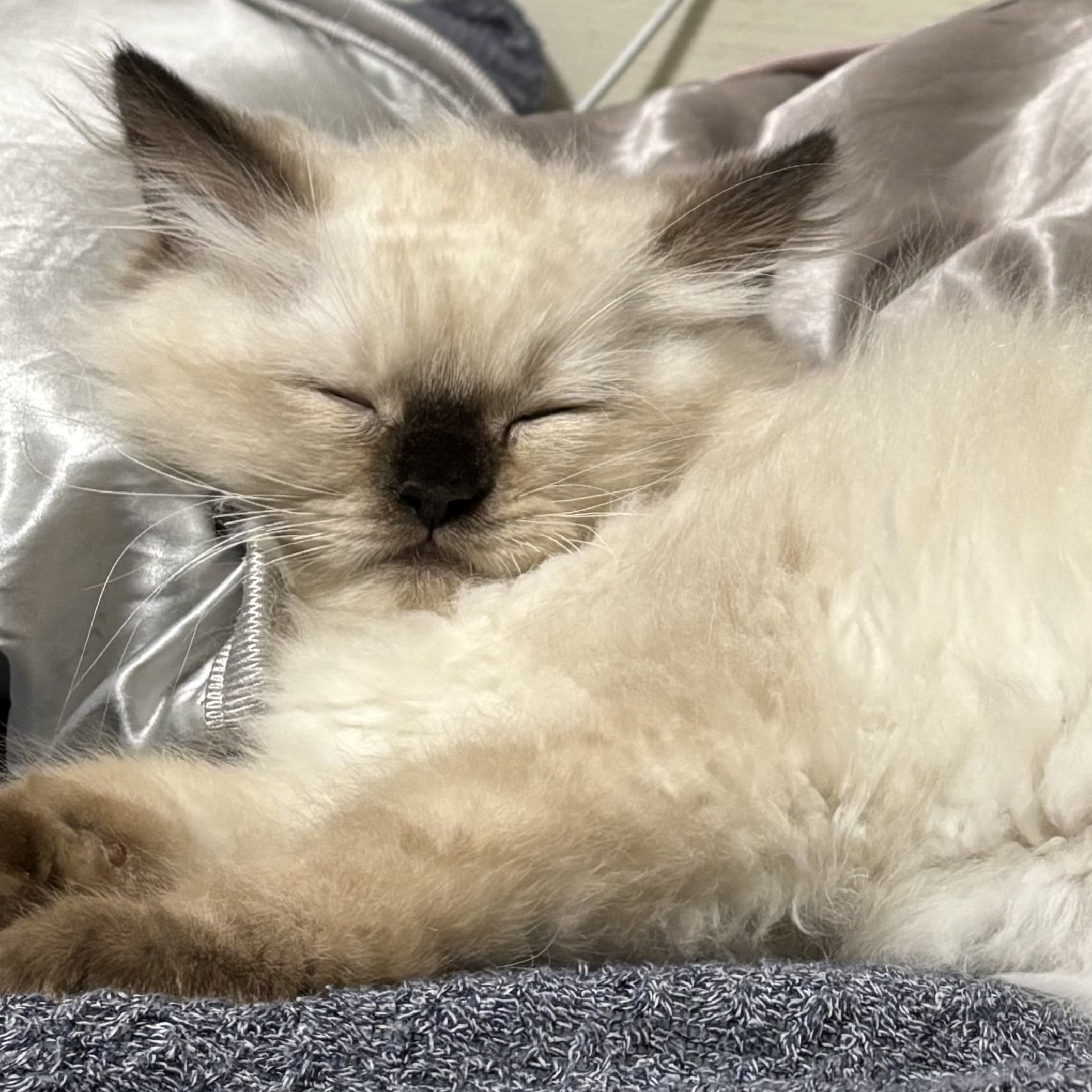 大阪府 H様 ラテ