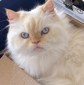 インスタグラム T様